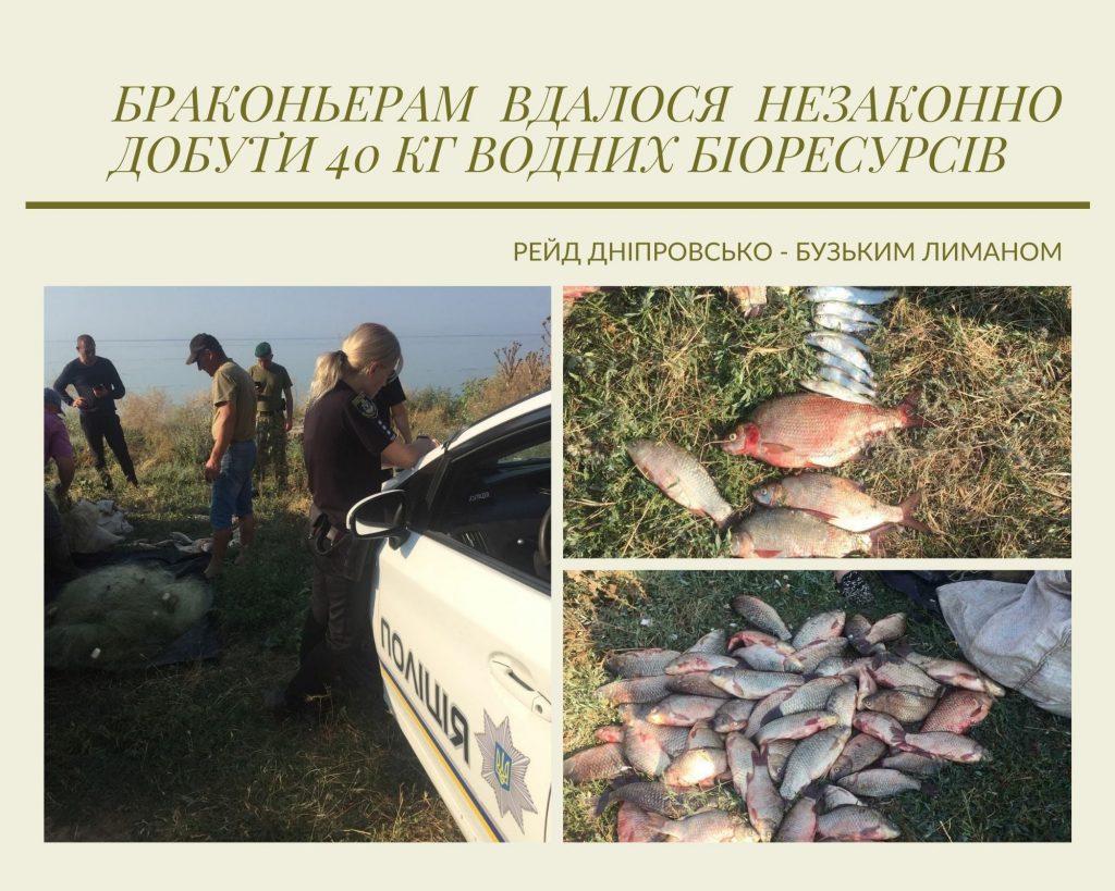 На Днепро-Бугском лимане Николаевский рыбоохранный патруль поймал браконьеров с 40 кг рыбы (ФОТО) 5