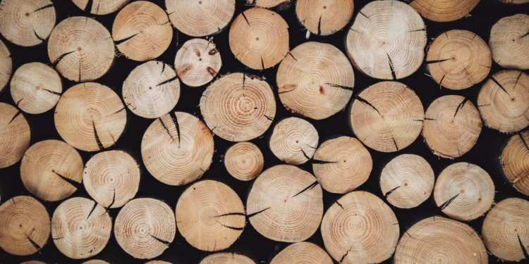 Финны из древесины будут делать аккумуляторы для электромобилей