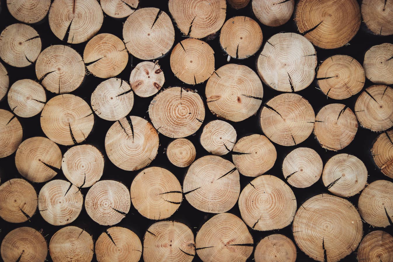 Финны из древесины будут делать аккумуляторы для электромобилей