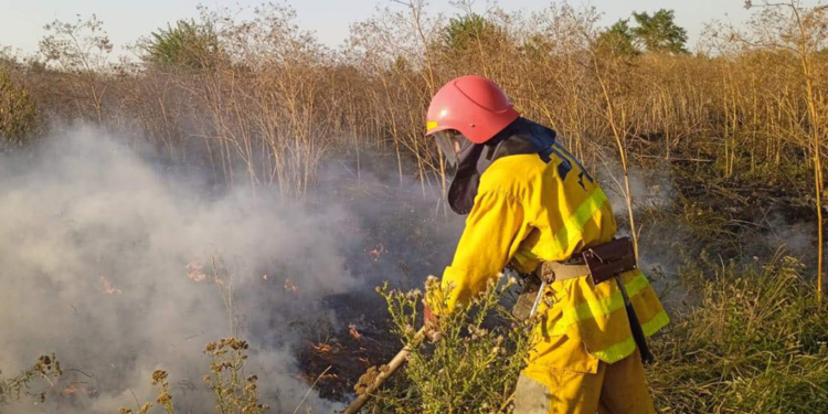 За сутки на Николаевщине выгорело 33 га открытой территории