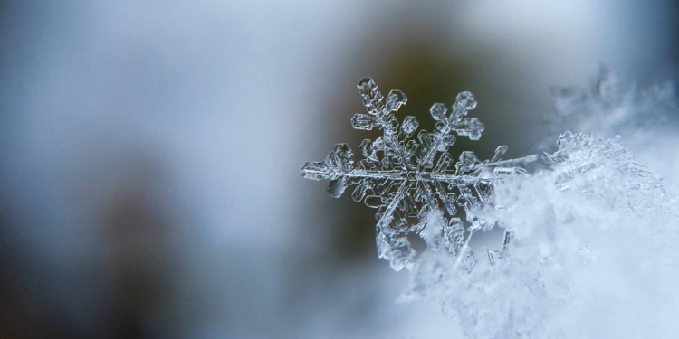 Польза от катакомб: в Париже начали устанавливать «освежающие» скамейки