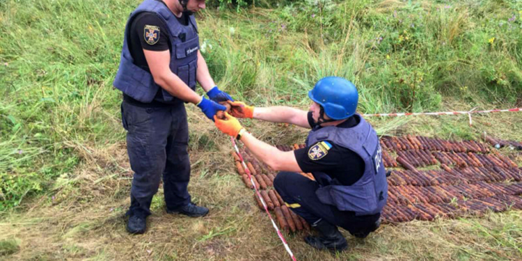 Разминирование на Николаевщине: обезврежено еще 406 артснарядов, найденных у Врадиевки (ФОТО)