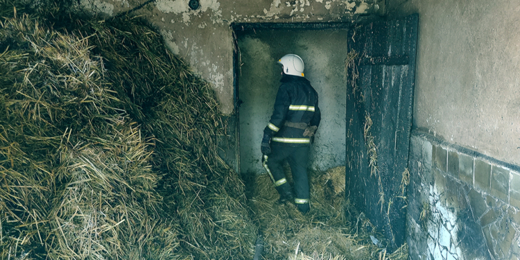 Обидно: на Николаевщине сгорело 3 тонны заготовленной соломы