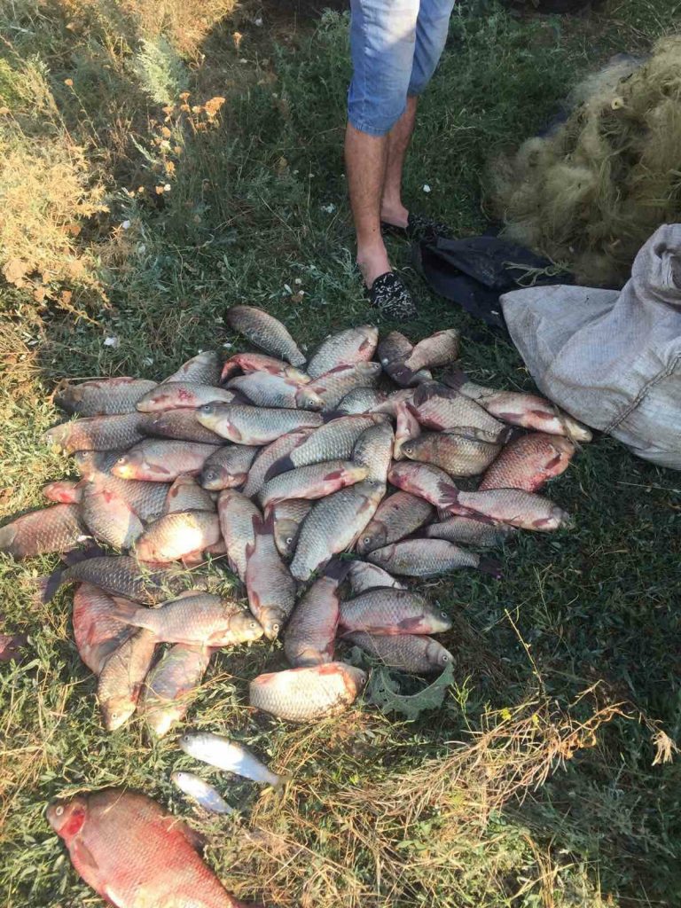 На Днепро-Бугском лимане Николаевский рыбоохранный патруль поймал браконьеров с 40 кг рыбы (ФОТО) 1