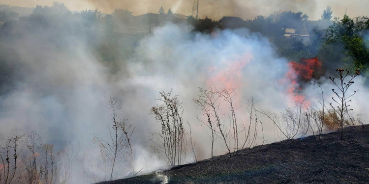 На Николаевщине за сутки выгорело почти 30 га открытых территорий. Для тушения даже пожарный поезд привлекали