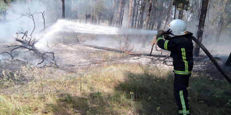 Николаевские спасатели два часа тушили Балобановский лес (ФОТО)
