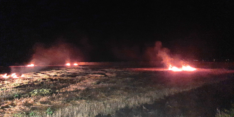 На Николаевщине за сутки выгорело более 48 га открытых территорий – пострадал один человек (ФОТО)