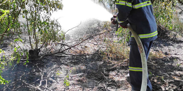 На Николаевщине за сутки 26 раз тушили пожары в экосистемах, в двух случаях огонь перекинулся на жилой сектор (ФОТО)