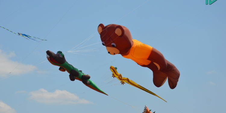 ULTRA FEST TRYKHATY 2021: в небо Николаевщины поднялись кайты-гиганты (ФОТО, ВИДЕО)