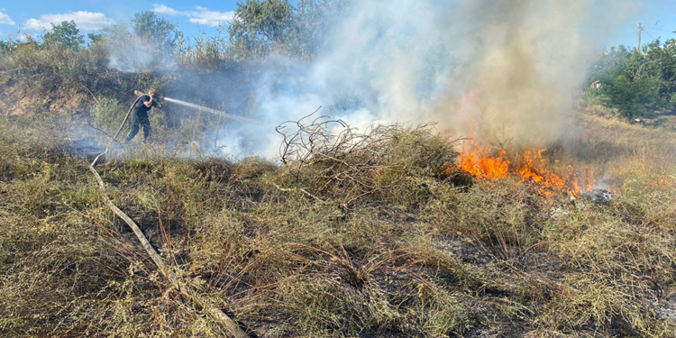 Тушат масштабный пожар неподалеку от Николаева: огонь шел на дачи и лесопосадку (ФОТО)