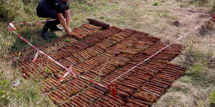 Николаевские пиротехники обезвредили еще 396 снарядов, найденных у Врадиевки (ФОТО)