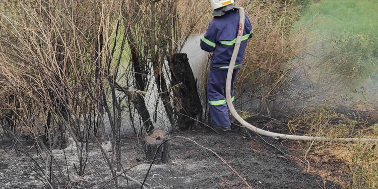 На Николаевщине за сутки выгорело более 49 га открытых территорий (ФОТО)