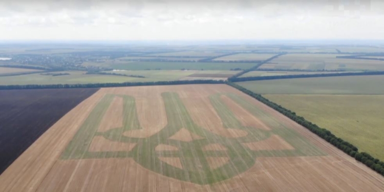 Винницкие фермеры вырастили живой километровый герб Украины (ВИДЕО)