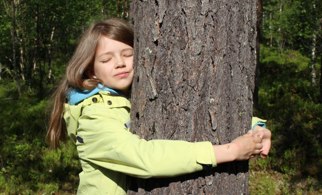 В Лапландии проходит чемпионат мира по обниманию деревьев 1