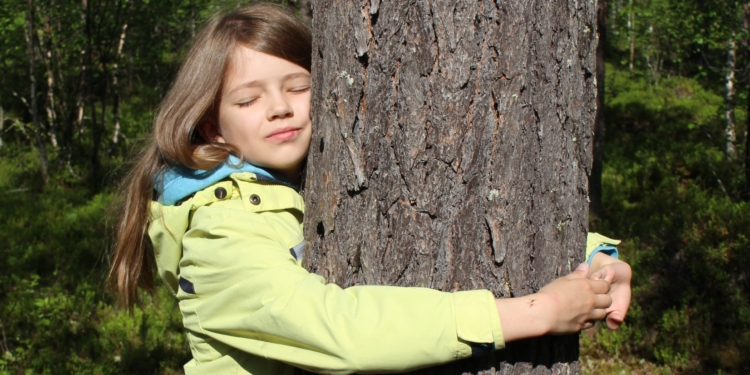 В Лапландии проходит чемпионат мира по обниманию деревьев