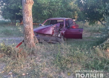Под Николаевом Peugeot врезалось в дерево – водитель погиб (ФОТО)