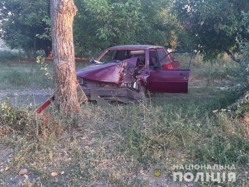Под Николаевом Peugeot врезалось в дерево – водитель погиб (ФОТО)