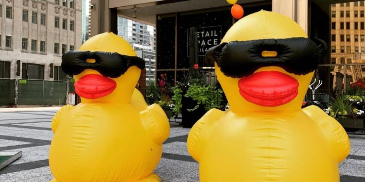 В США прошли масштабные соревнования по заплыву резиновых уточек (ВИДЕО)