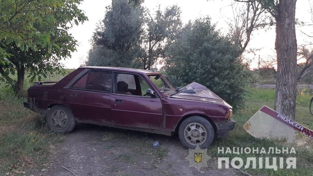 Под Николаевом Peugeot врезалось в дерево - водитель погиб (ФОТО) 3