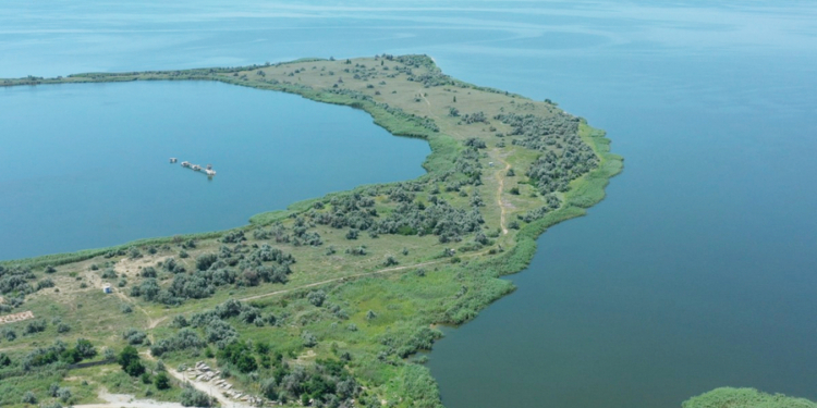 Компания секретаря Николаевского горсовета Дмитрия Фалько перекрыла доступ к побережью Бугского лимана дачникам