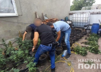 Николаевские полицейские нашли горшки с коноплей (ФОТО)