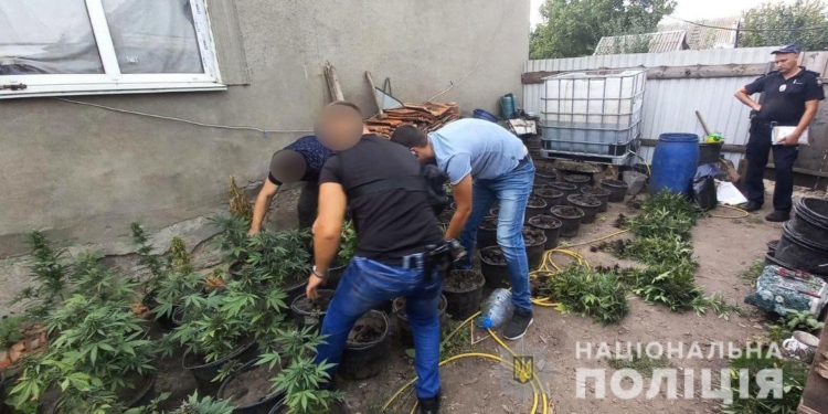 Николаевские полицейские нашли горшки с коноплей (ФОТО)