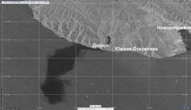 В РФ попытались скрыть разлив нефти в Черном море, занизив масштаб загрязнения в 400 раз