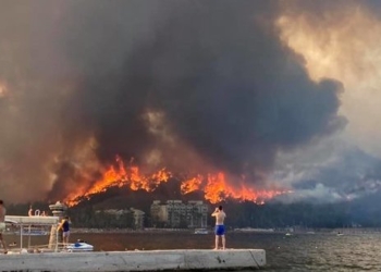 Пожары на курортах. В Турции задержали подозреваемого в поджоге