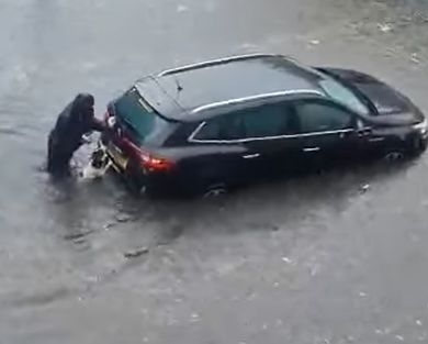 В Шотландии собака помогла хозяйке вытолкать машину из воды и стала героем Сети (ВИДЕО)