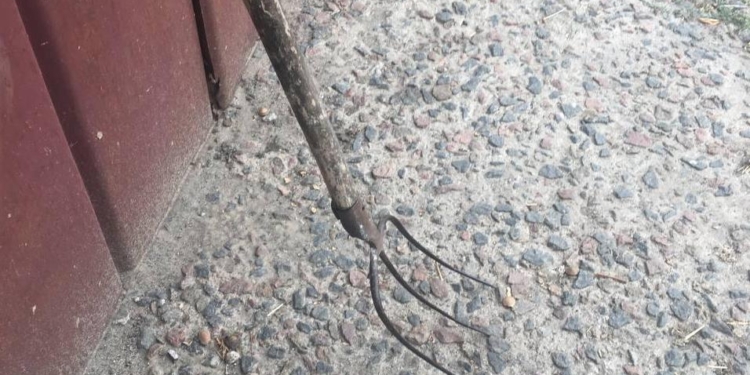 На Николаевщине брат заколол брата вилами (ФОТО)