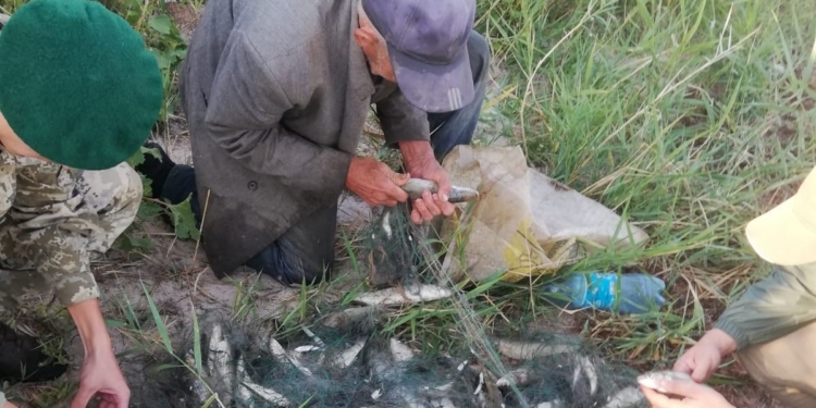 У очаковского побережья задержали мужчину, набраконьерившего сетями кефаль (ФОТО)