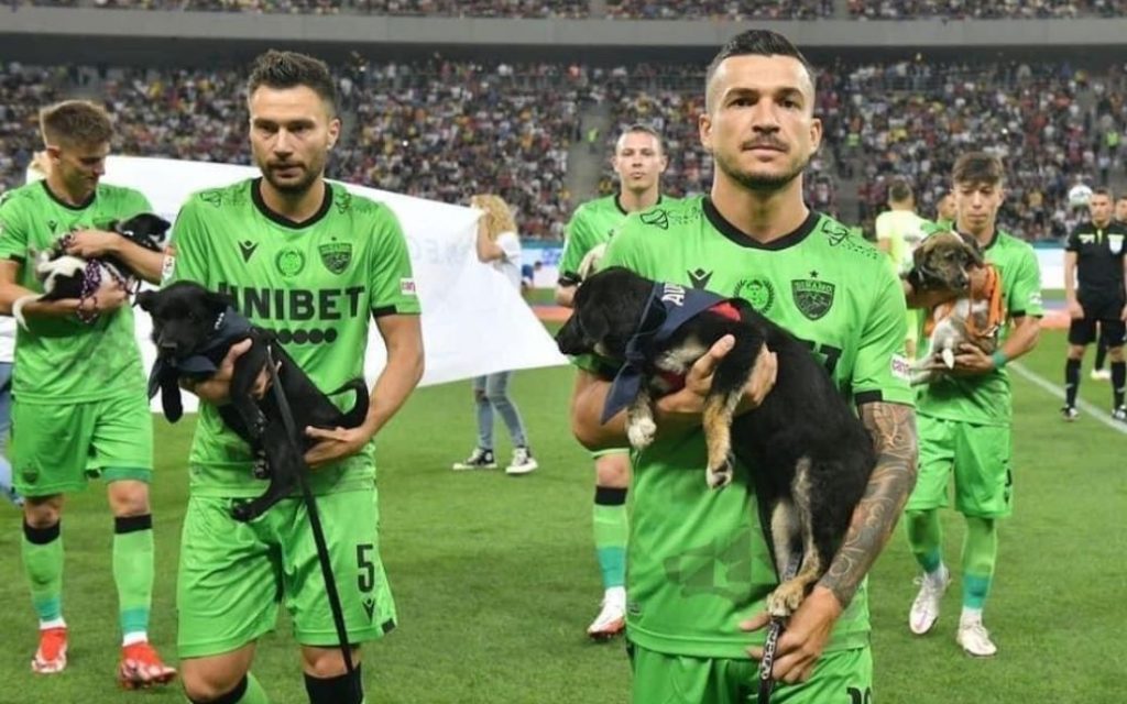 Румынские футболисты будут выходить на поле с бездомными собаками на руках 1
