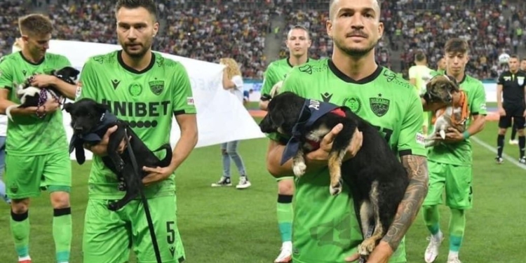 Румынские футболисты будут выходить на поле с бездомными собаками на руках