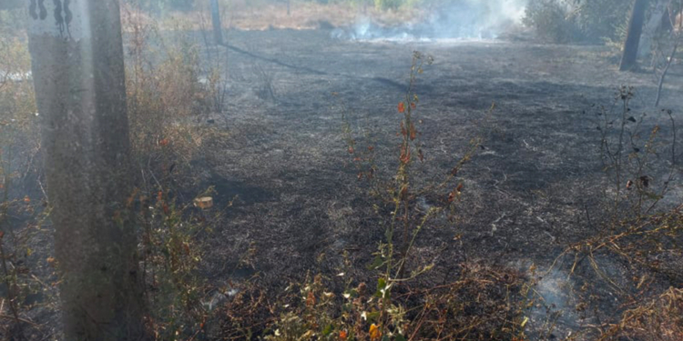 За сутки на Николаевщине выгорело более 17 га открытых территорий