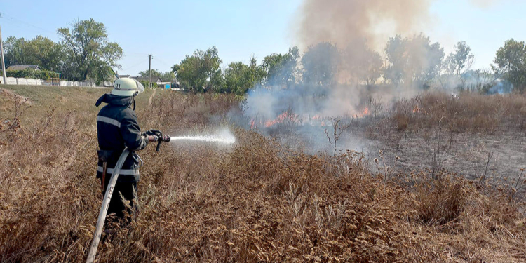 За сутки в Николаеве и области выгорело более 53 га открытых территорий (ФОТО)