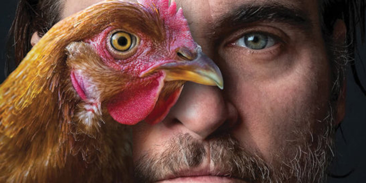 В Николаеве пройдет спецпоказ спродюсированного Хоакином Фениксом документального фильма «Гунда» (ВИДЕО)