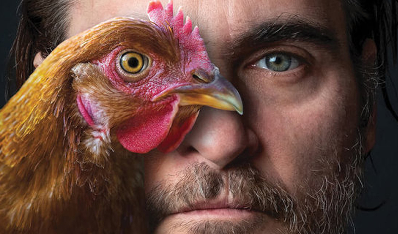 В Николаеве пройдет спецпоказ спродюсированного Хоакином Фениксом документального фильма «Гунда» (ВИДЕО)