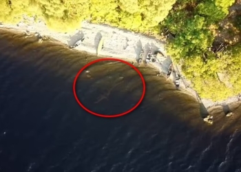 В Шотландии дрон байдарочника запечатлел Лох-несское чудовище? (ВИДЕО)