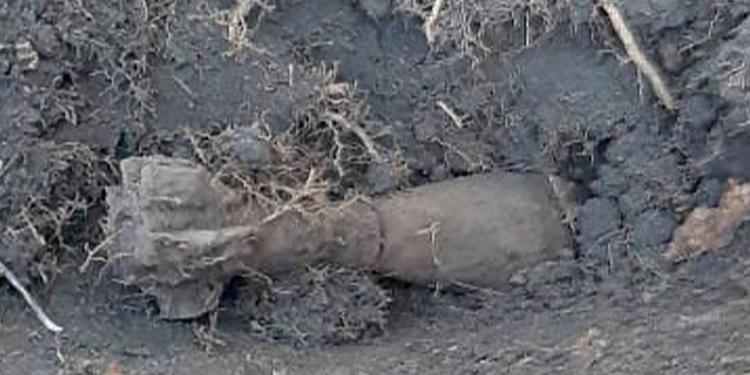 На Николаевщине обезвредили минометную мину (ФОТО)