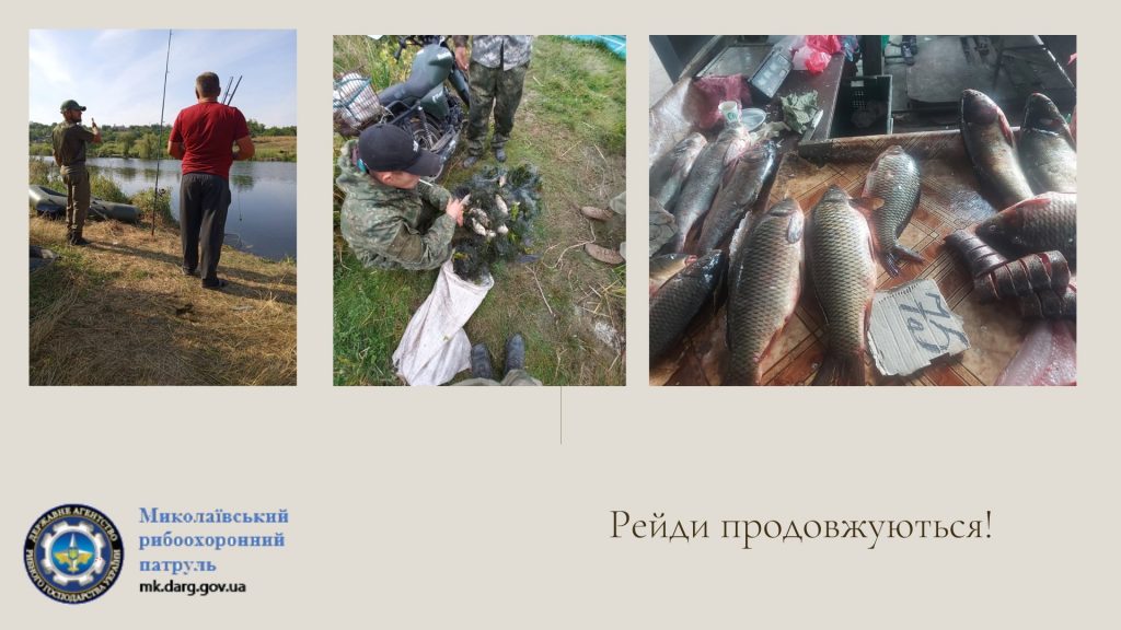 За неделю Николаевский рыбоохранный патруль изъял 87 кг рыбы и 42 единицы браконьерских орудий лова 1