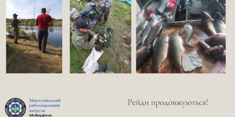 За неделю Николаевский рыбоохранный патруль изъял 87 кг рыбы и 42 единицы браконьерских орудий лова