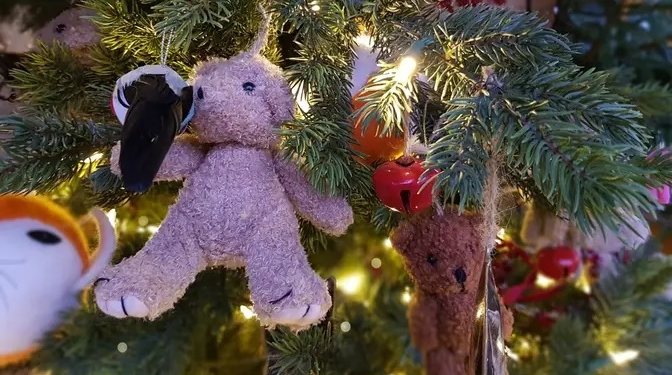 Столица Эстонии уже начала готовиться к Рождеству – ищут подходящую ель