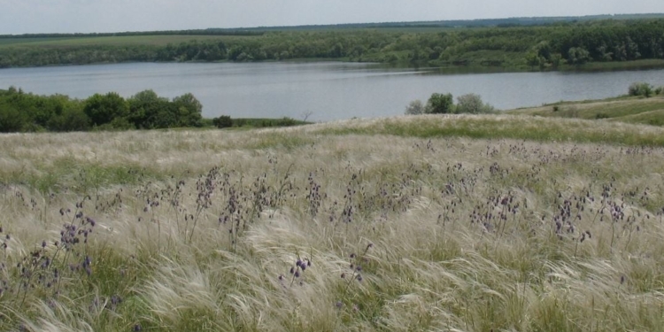 С барского плеча. На Николаевщине Госгеокадастр отдал 5 гражданам 10 га территории РЛП «Приингульский»