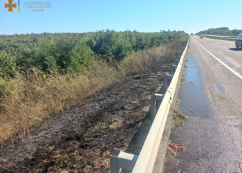 На Николаевщине за сутки выгорело почти 33 га открытых территорий
