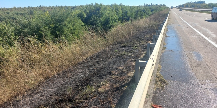 На Николаевщине за сутки выгорело почти 33 га открытых территорий