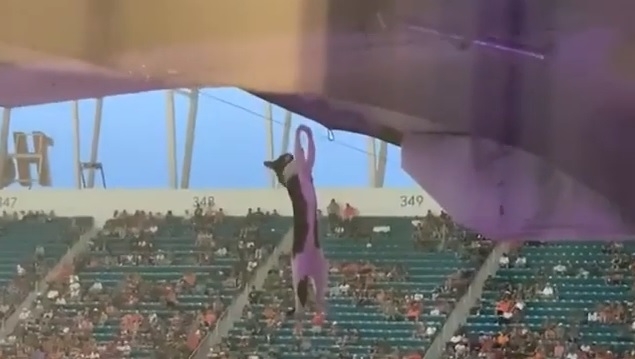 Футбольные фанаты спасли от смерти кота с помощью американского флага (ВИДЕО)