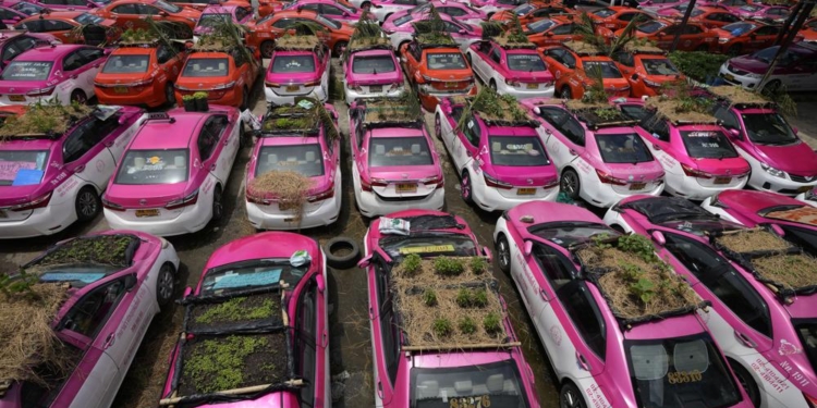 В Таиланде безработные таксисты разбили грядки на крышах машин