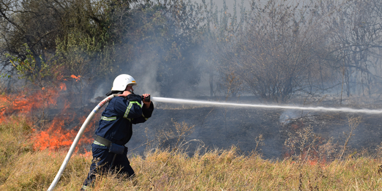Возле Мешково-Погорелово выгорело почти 5 га (ФОТО)