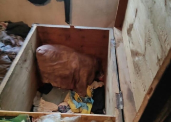 После суток поисков малолетних брата с сестрой на Донбассе нашли в сундуке мертвыми