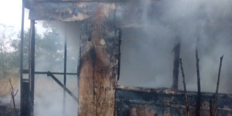 На Николаевщине за сутки горели брошенные дома и хвойная подстилка в Лиманском урочище (ФОТО)